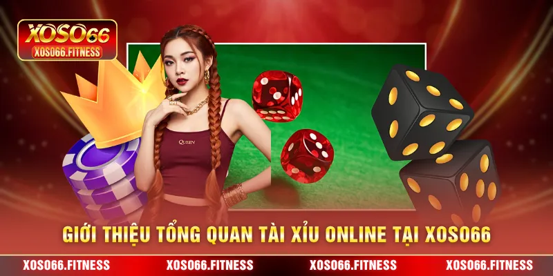 Giới thiệu tổng quan tài xỉu online tại XoSo66