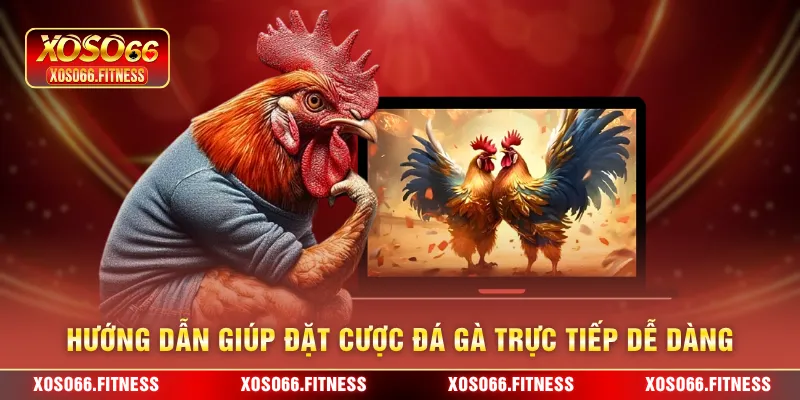 Hướng dẫn giúp đặt cược đá gà trực tiếp dễ dàng